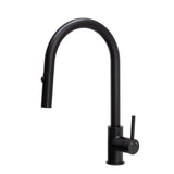 Profile III Gooseneck Kitchen Sink Mixer with Pull-Out, Chromium Matte Black