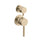 Profile III Shower/ Bath Wall Mixer with Diverter, PVD Brushed Brass (Gold)