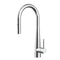 Profile Rise Gooseneck Kitchen Sink Mixer with Pull-Out, Polished Chrome