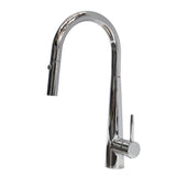 Profile Rise Gooseneck Kitchen Sink Mixer with Pull-Out, Polished Chrome