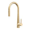 Profile Rise Gooseneck Kitchen Sink Mixer with Pull-Out, PVD Brushed Brass Gold