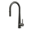 Profile Rise Gooseneck Kitchen Sink Mixer with Pull-Out, PVD Brushed Gunmetal