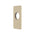 Rectangular 80mm x 140mm Plate for Kiki Wall Mixer, PVD Brushed Bass (Gold)