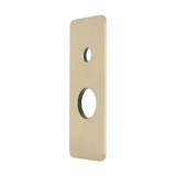 Rectangular 80mm x 200mm Plate for Kiki Wall Mixer with Diverter, PVD Brushed Bass (Gold)