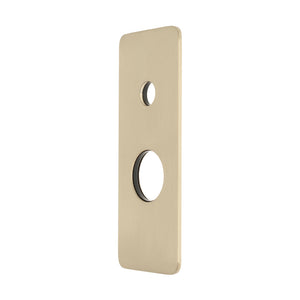 Rectangular 80mm x 200mm Plate for Kiki Wall Mixer with Diverter, PVD Brushed Bass (Gold)