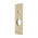 Rectangular 80mm x 200mm Plate for Kiki Wall Mixer with Diverter, PVD Brushed Bass (Gold)