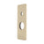 Rectangular 80mm x 200mm Plate for Kiki Wall Mixer with Diverter, PVD Brushed Bass (Gold)