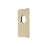 Rectangular 100mm x 150mm Plate for Jena Wall Mixer, PVD Brushed Bass (Gold)