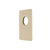 Rectangular 100mm x 150mm Plate for Jena Wall Mixer, PVD Brushed Bass (Gold)