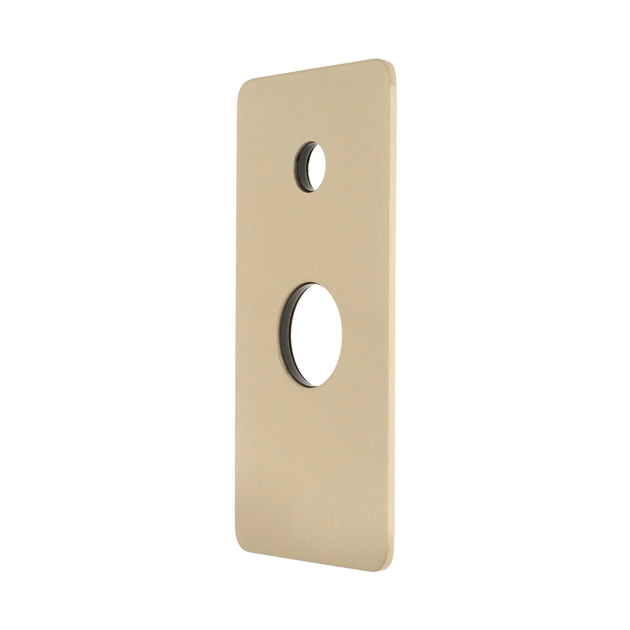 Rectangular 100mm x 200mm Plate for Jena Wall Mixer with Diverter, PVD Brushed Bass (Gold)