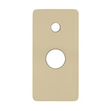 Rectangular 100mm x 200mm Plate for Jena Wall Mixer with Diverter, PVD Brushed Bass (Gold)