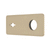 Rectangular 220mm x 90mm Plate for Kiki/Jena Wall Mixer Set, PVD Brushed Bass (Gold)