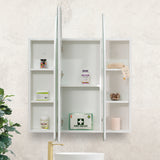 Arco Arch 1000mm x 1000mm Mirrored Shaving Cabinet, Matte White