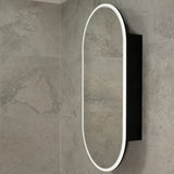 Pill Oval 600mm x 1200mm Frontlit LED Mirrored Shaving Cabinet, Matte Black