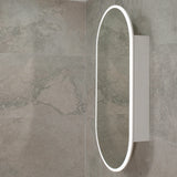Pill Oval 600mm x 1200mm Frontlit LED Mirrored Shaving Cabinet, Matte White