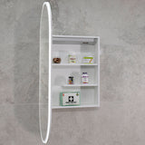 Pill Oval 600mm x 1200mm Frontlit LED Mirrored Shaving Cabinet, Matte White