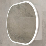 Pill Oval 900mm x 600mm Frontlit LED Mirrored Shaving Cabinet, Matte White