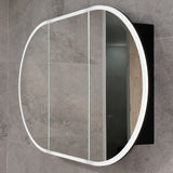 Pill Oval 1200mm x 750mm Frontlit LED Mirrored Shaving Cabinet, Matte Black