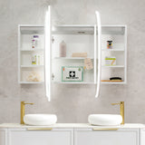 Pill Oval 1200mm x 750mm Frontlit LED Mirrored Shaving Cabinet, Matte White