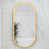 Pill Oval 500mm x 1000mm Frontlit LED Framed Mirror with Demister, Brushed Nickel Frame