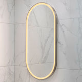 Pill Oval 500mm x 1000mm Frontlit LED Framed Mirror with Demister, Brushed Nickel Frame