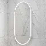 Pill Oval 500mm x 1000mm Frontlit LED Framed Mirror with Demister, Matte White Frame