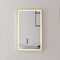 Retti Rectangular 450mm x 750mm Frontlit LED Mirror with Brushed Brass (Gold) Frame and Demister
