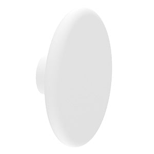 Artic White