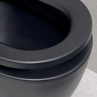 Hysett Q Back to Wall Toilet Suite, Matte Black
