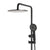 Profile Round Twin Shower System with Adjustable Rail and 250mm Head, Matte Black