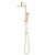 Profile Round Twin Shower System with Adjustable Rail and 250mm Head, Brushed Brass