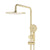 Profile Round Twin Shower System with Adjustable Rail and 250mm Head, Brushed Brass