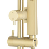 Profile Round Twin Shower System with Adjustable Rail and 250mm Head, Brushed Brass