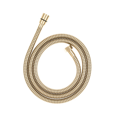 Profile Round 3-Function Hand Shower on Rail, Brushed Brass