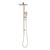 Retto Square Twin Shower System with Adjustable Rail and 250mm Head, Brushed Nickel