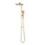 Retto Square Twin Shower System with Adjustable Rail and 250mm Head, Brushed Brass
