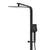 Jena Square Twin Shower System with Adjustable Rail, Push Button Diverter and 250mm Head, Matte Black
