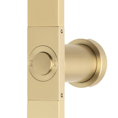 Jena Round Twin Shower System with Adjustable Rail, Push Button Diverter and 250mm Head, Brushed Brass (Gold)