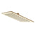 Square SS 250mm Rain Shower Head, Brushed Brass (Gold)