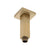 Square 100mm Shower Ceiling Dropper Arm, Brushed Brass (Gold)
