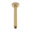 Round 200mm Shower Ceiling Dropper Arm, Brushed Brass (Gold)