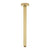 Round 300mm Shower Ceiling Dropper Arm, Brushed Brass (Gold)
