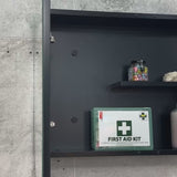 Pill Oval 900mm x 600mm Mirrored Shaving Cabinet, Matte Black