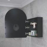 Arco Arch 600mm x 800mm Mirrored Shaving Cabinet, Matte Black