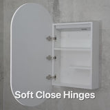 Arco Arch 550mm x 1000mm Mirrored Shaving Cabinet, Matte Black