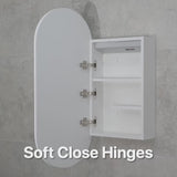 Pill Oval 400mm x 900mm Frontlit LED Mirrored Shaving Cabinet, Matte White