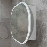 Pill Oval 900mm x 600mm Frontlit LED Mirrored Shaving Cabinet, Matte White