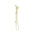 Nero Mecca Rail Shower with Air Shower | Brushed Gold |