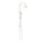 Nero Mecca Twin Shower with Air Shower | Brushed Nickel |