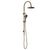 Nero Mecca Twin Shower with Opal Shower | Brushed Bronze |
